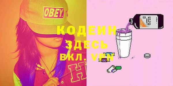 молекула духа Елизово