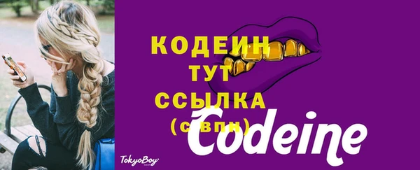 jwh Ельня