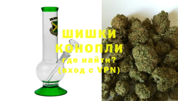 молекула духа Елизово